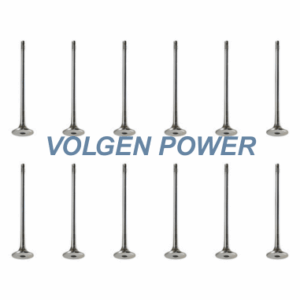 Volvo 20740798 Inlet Valve