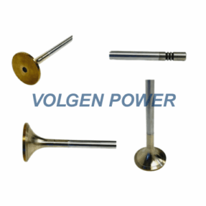 Volvo 20768519 Exhaust Valve